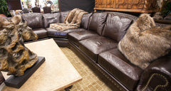 IMAGES | Omnia Leather Tucson