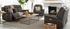 IMAGES | Palliser Asher Sofa