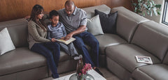 IMAGES |  Palliser Titan 44004