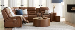IMAGES |  Palliser Washington 41067